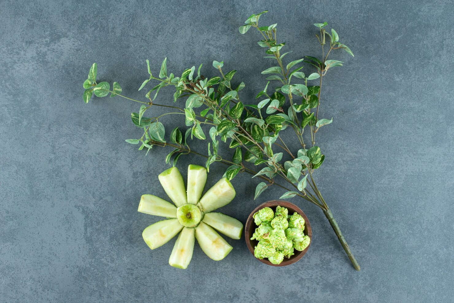 Graduates with thriving plants